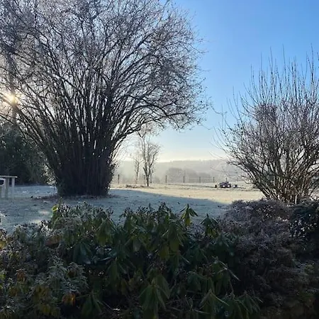 Au Détour Du Vieux Hêtre * Aywaille