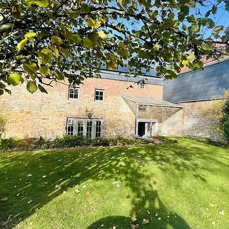 Au Détour Du Vieux Hêtre *