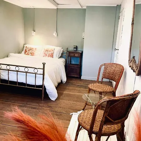 Au Détour Du Vieux Hêtre *